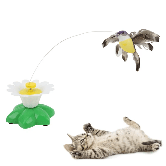 (Summer Hot Sale Now-48% OFF)Electric bird teasing cat toy